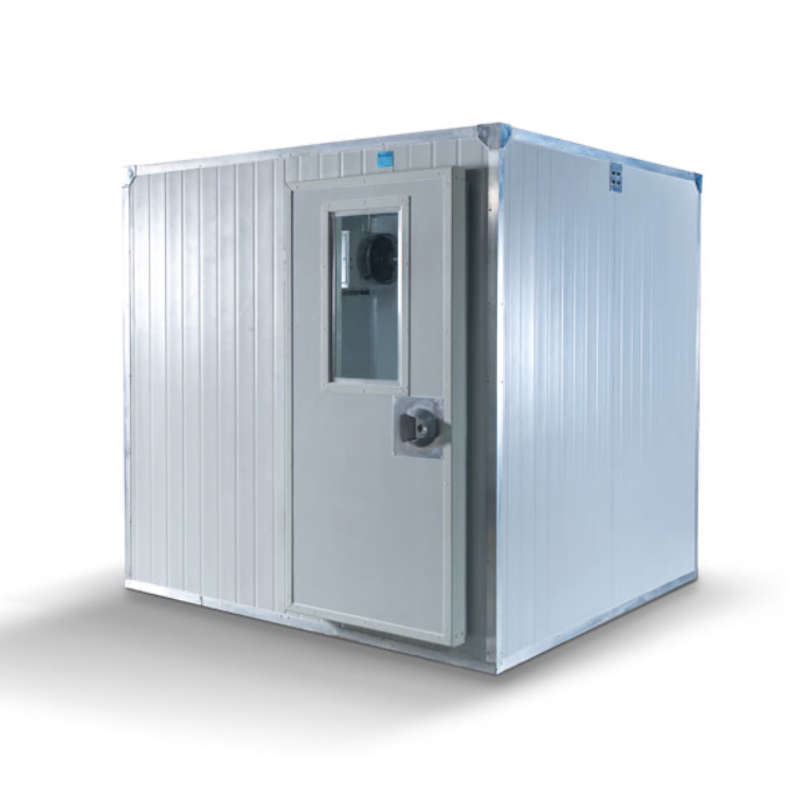 Walk-in freezer cold room